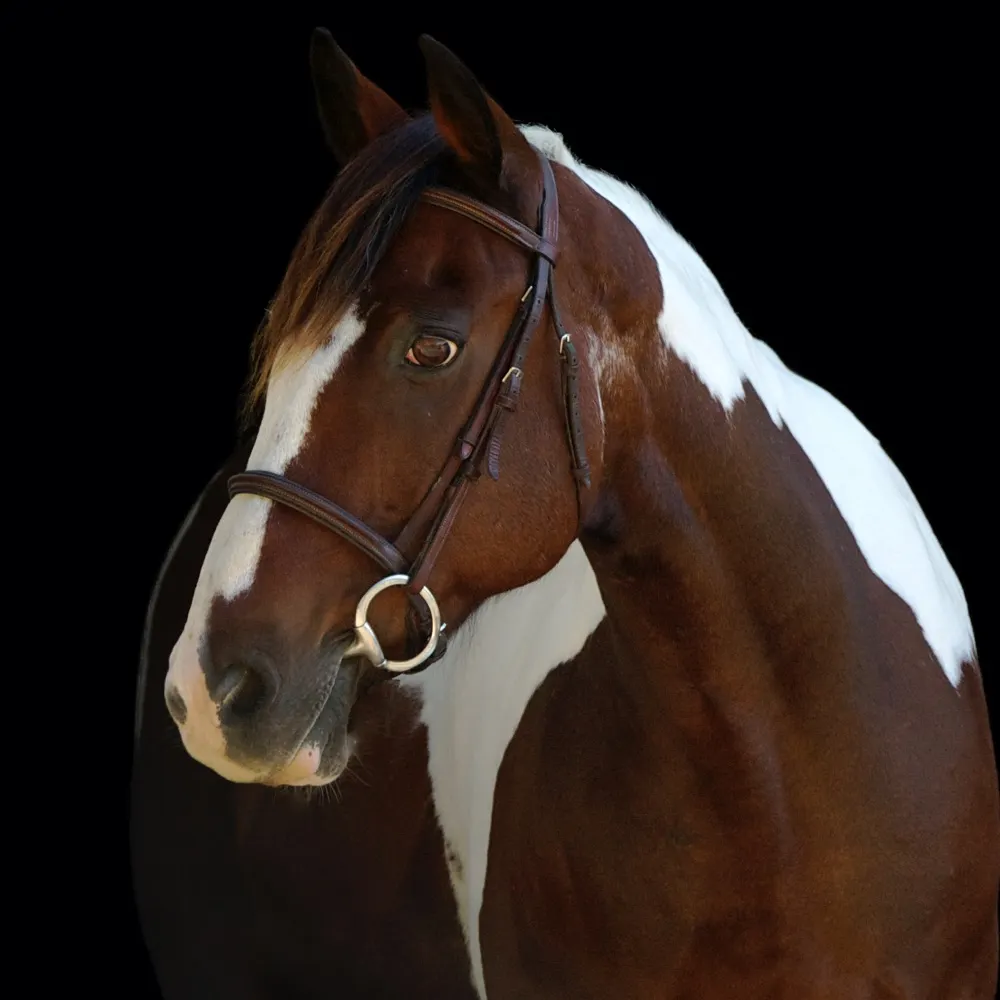 gigimlet.bsky.social's profile picture