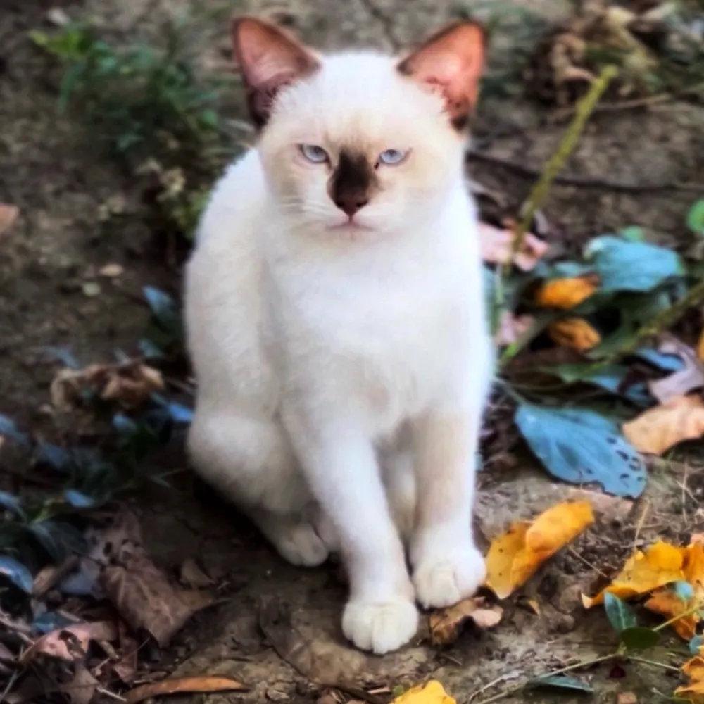 d8-n8h.bsky.social's profile picture