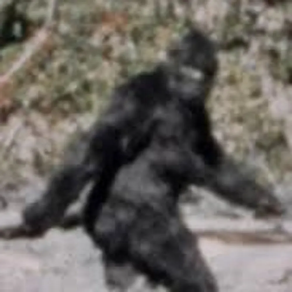 mikeakaleroy.bsky.social's profile picture