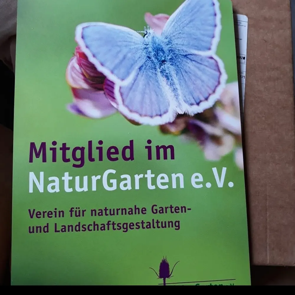 tamarapsommer.bsky.social's profile picture