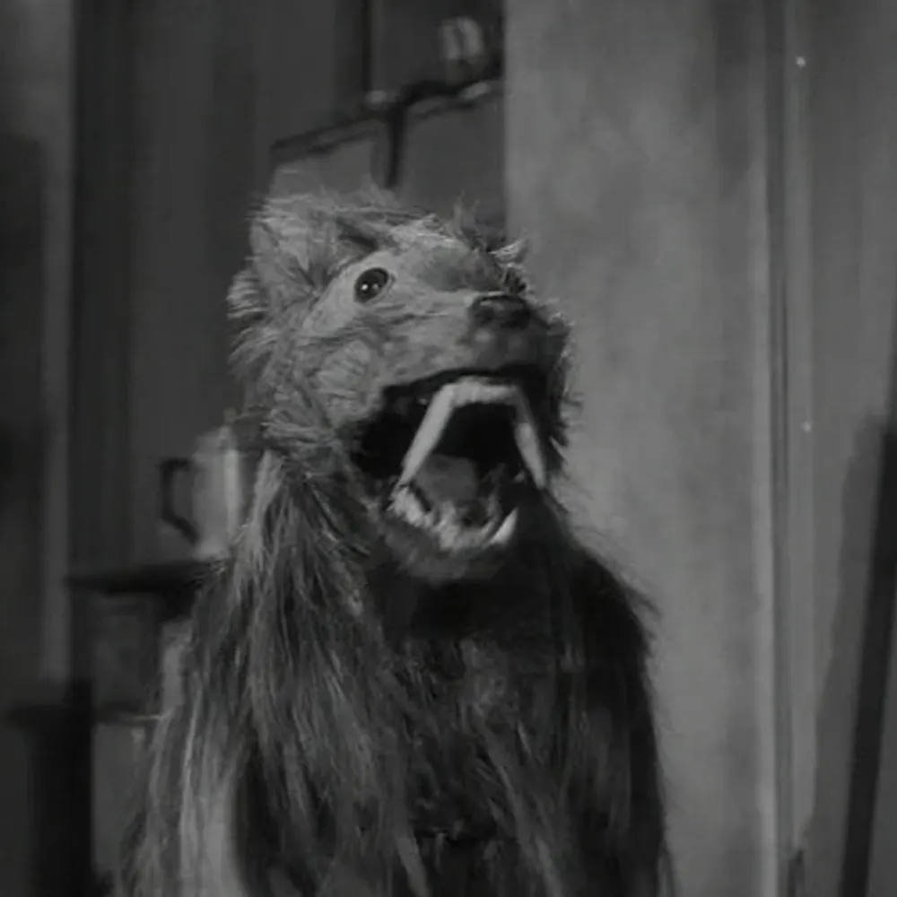 jerseywritersam.bsky.social's profile picture