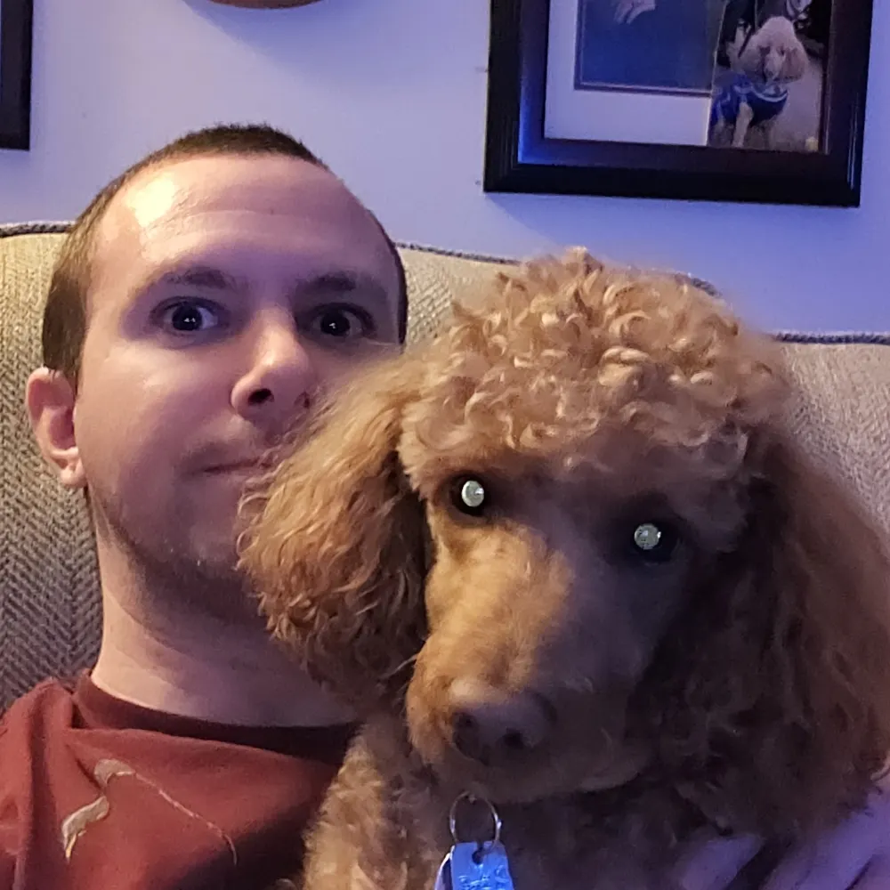 schmeev.bsky.social's profile picture