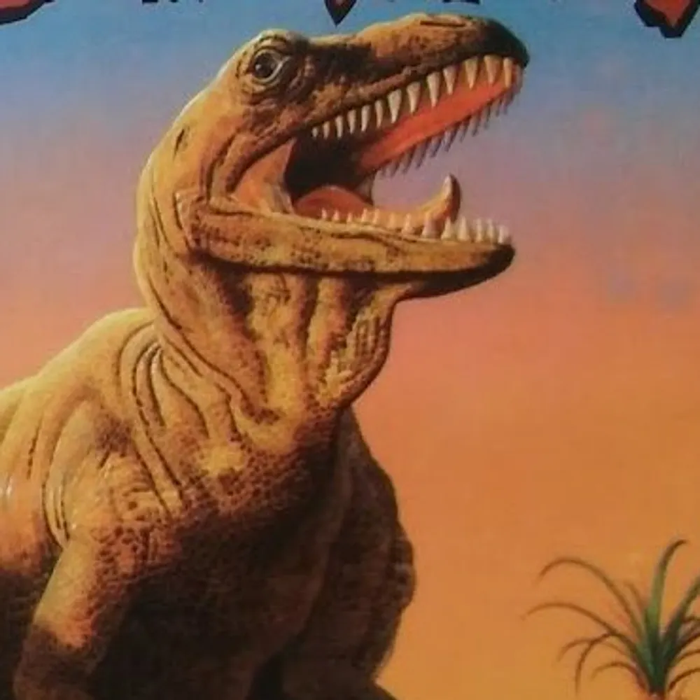 viergacht.bsky.social's profile picture