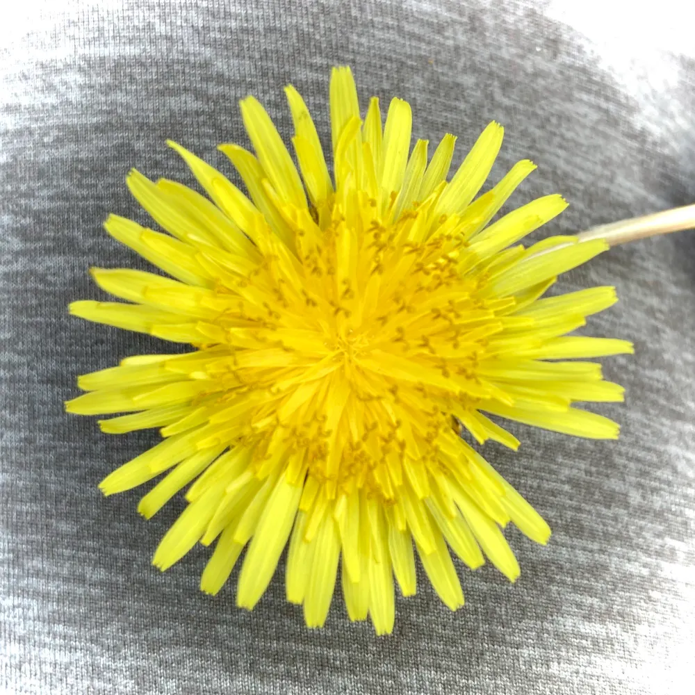 jennreads.bsky.social's profile picture