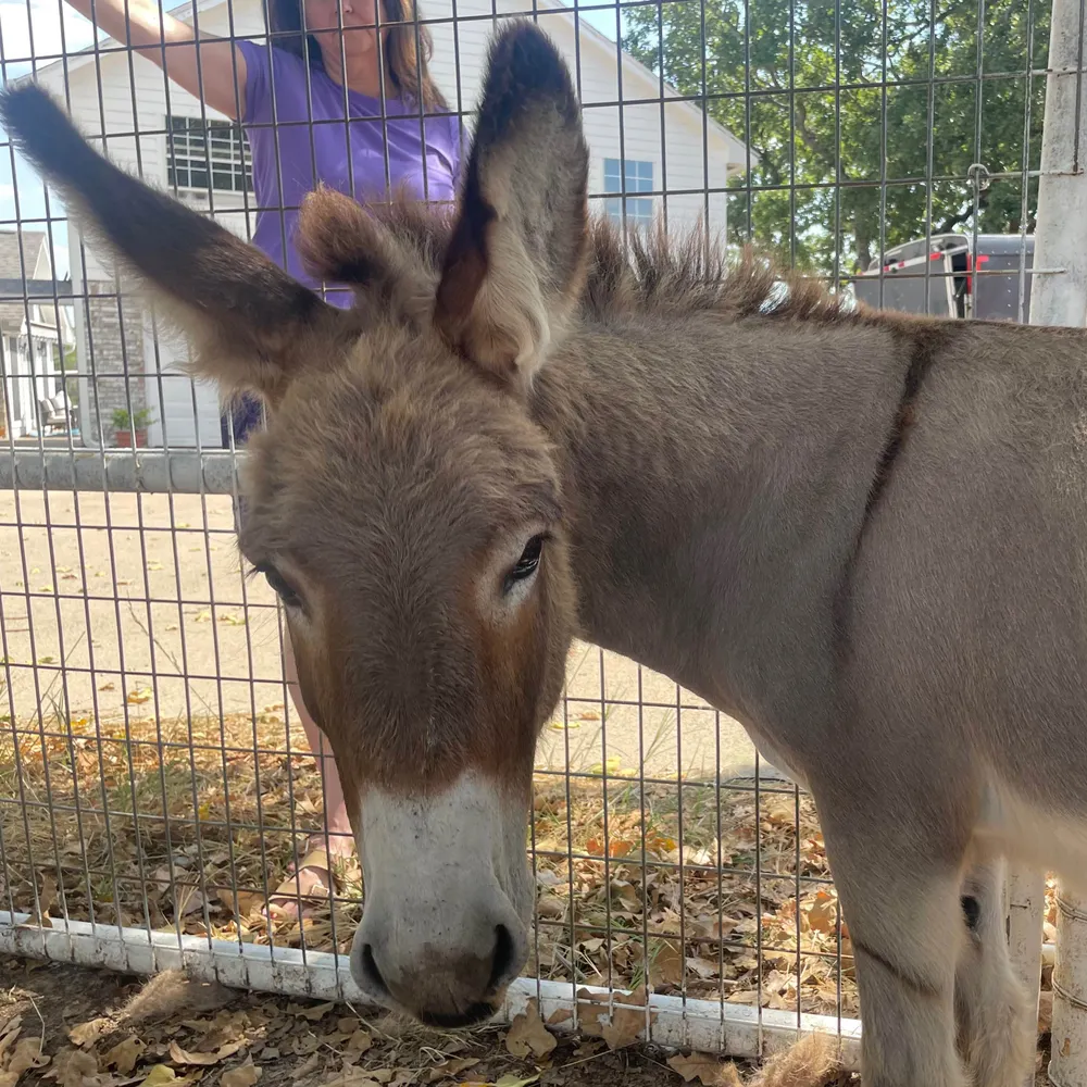 loriwilde.bsky.social's profile picture