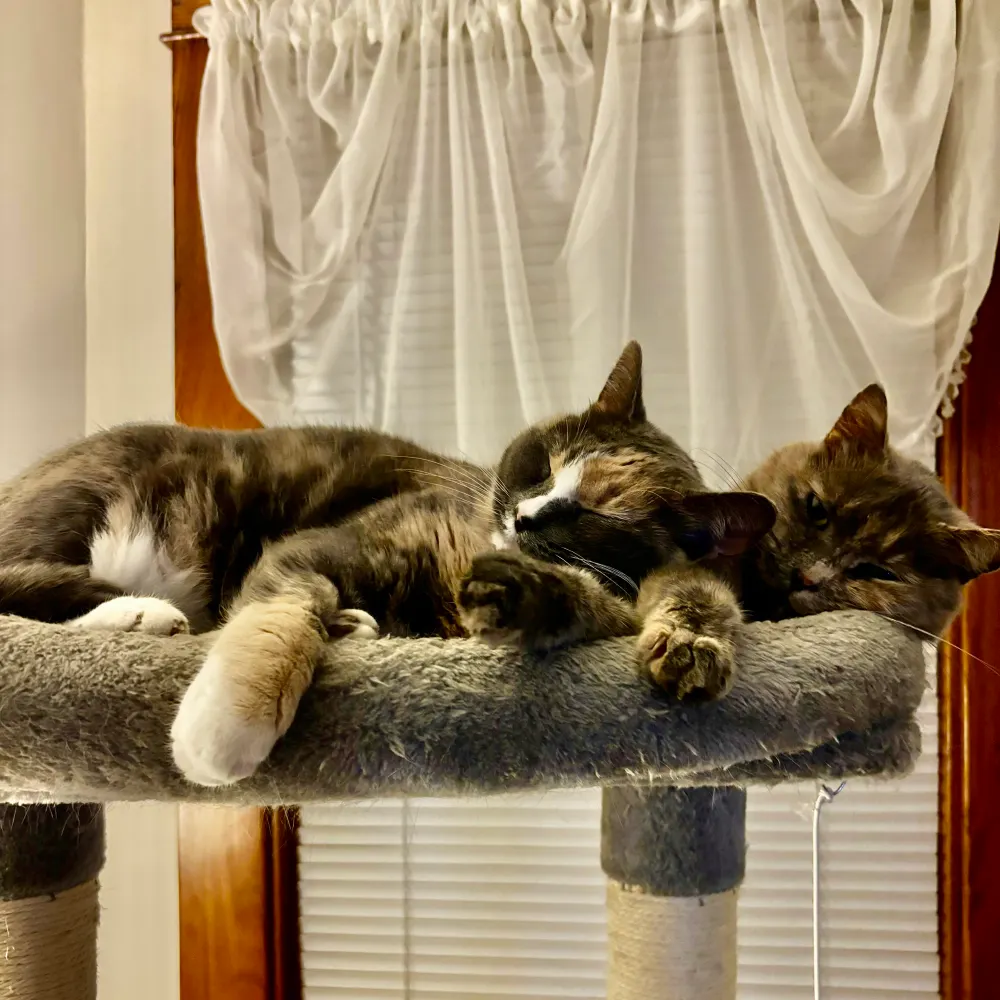 dberl.bsky.social's profile picture