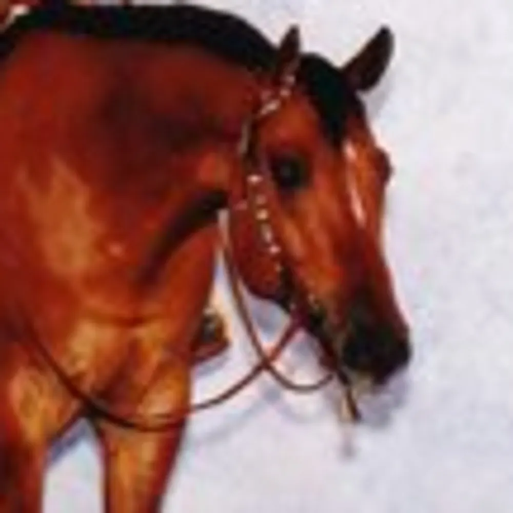 plannedtheride.bsky.social's profile picture