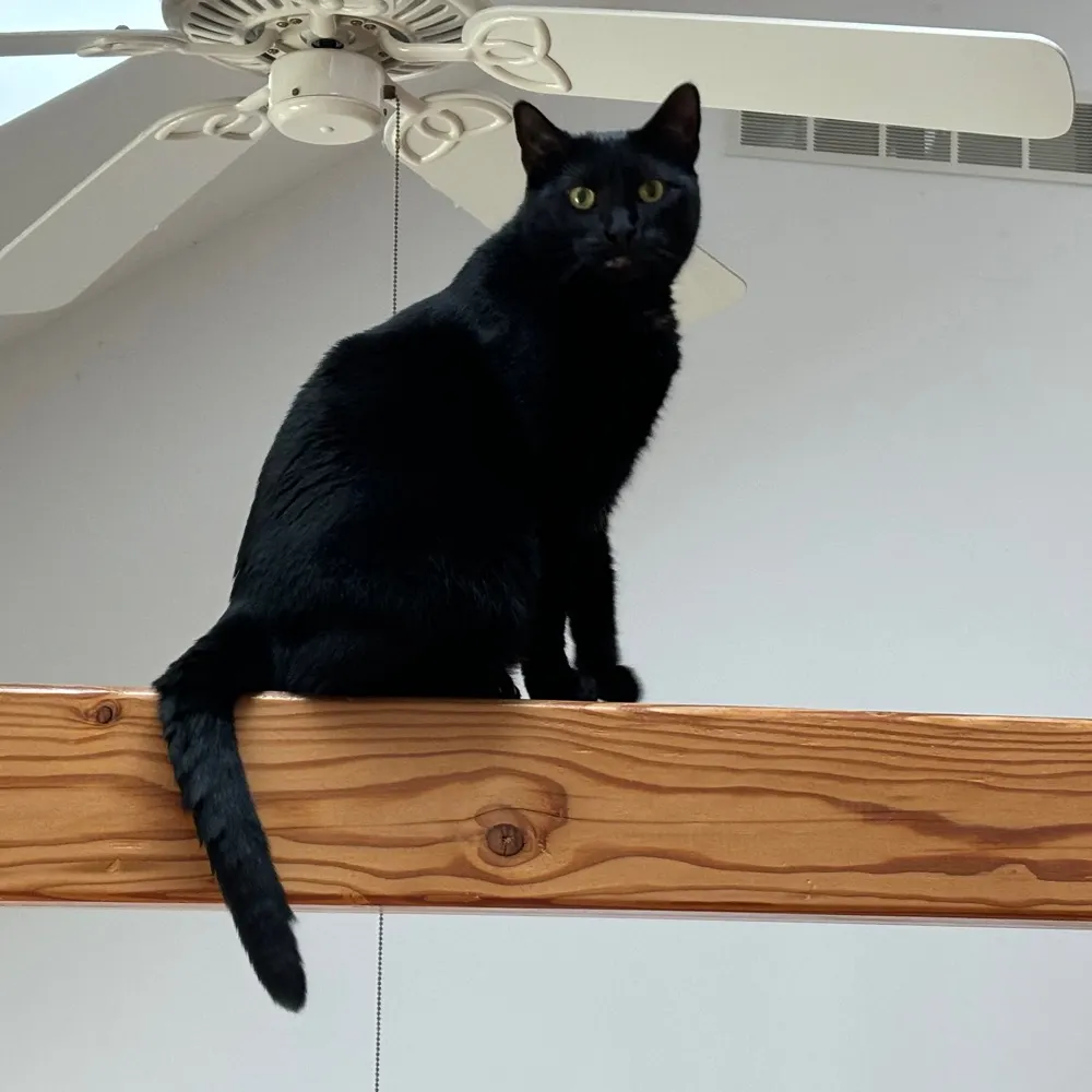 bmkoenig.bsky.social's profile picture