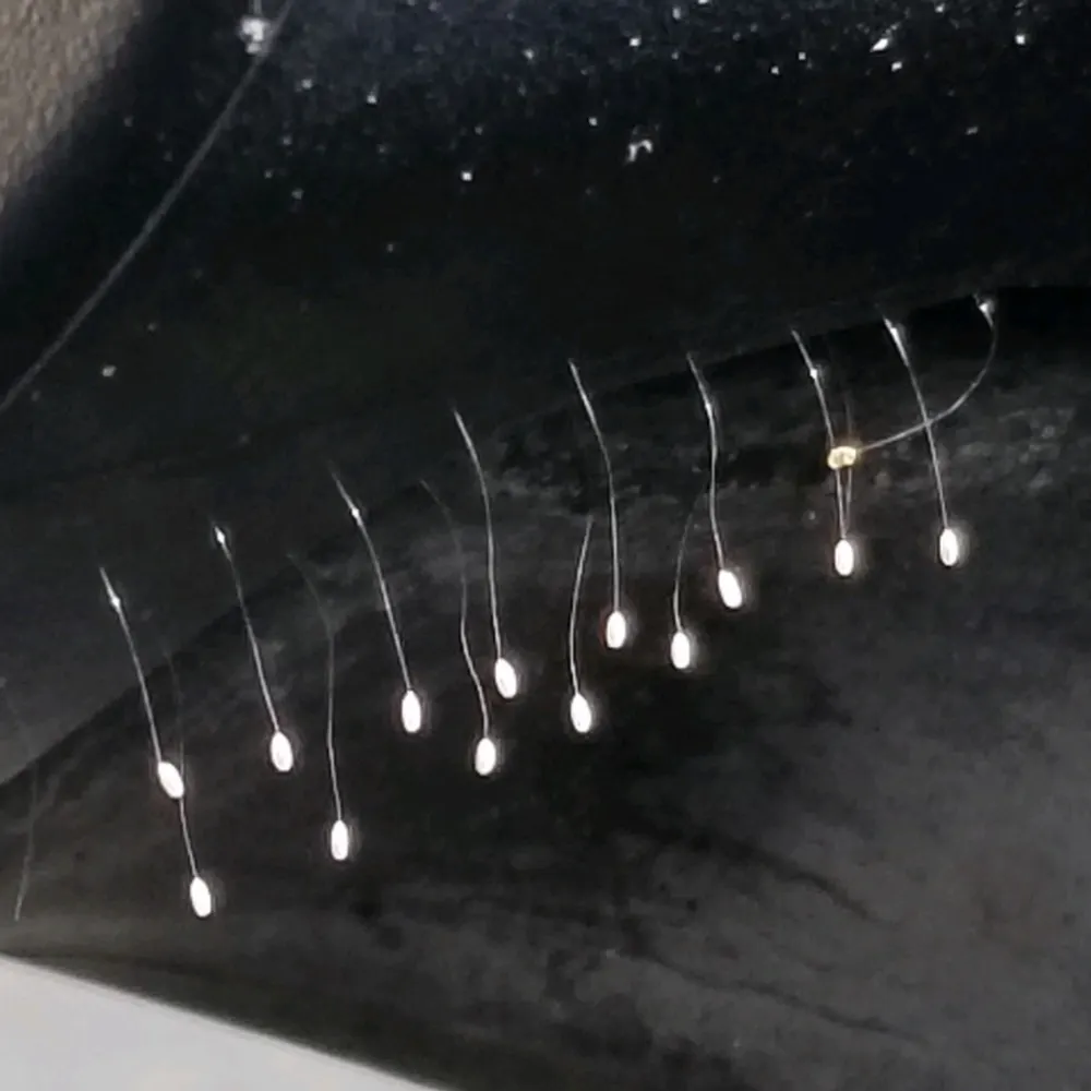 zep.bsky.social's profile picture