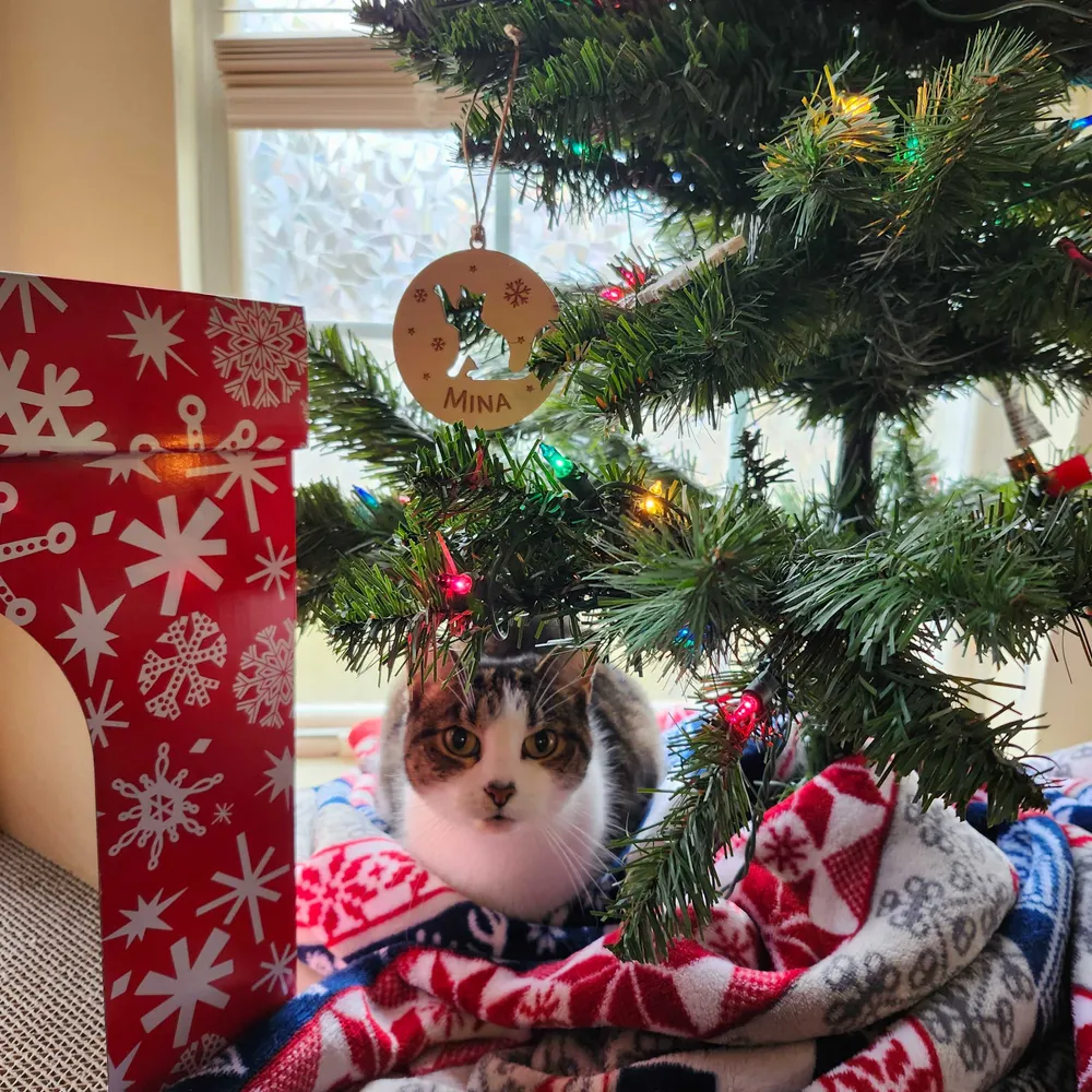 keonachick.bsky.social's profile picture