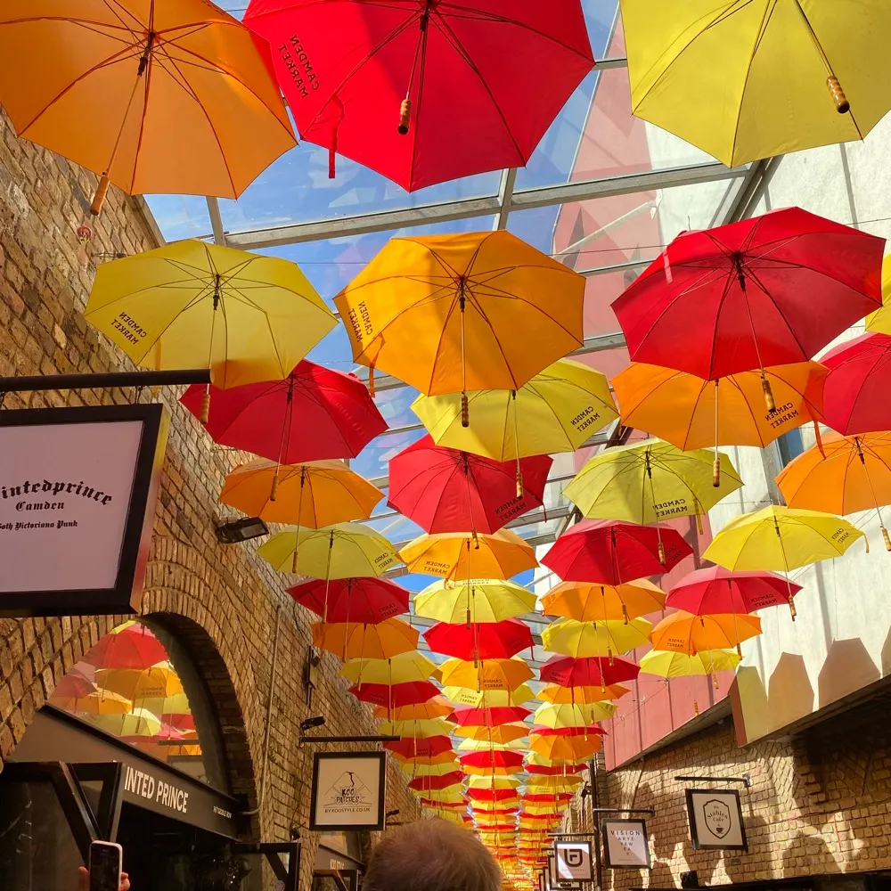 debbjay.bsky.social's profile picture