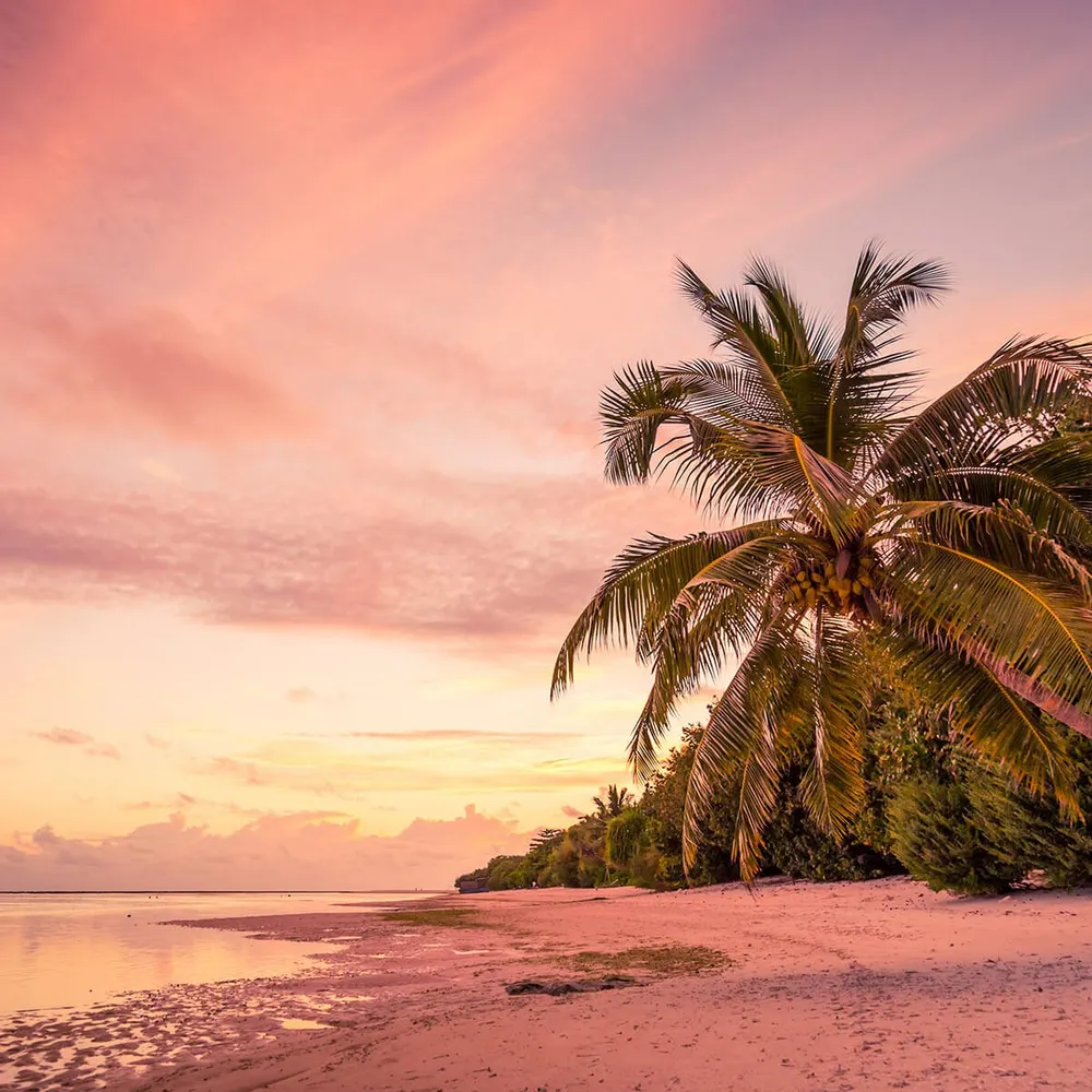 barbaraarome1.bsky.social's profile picture