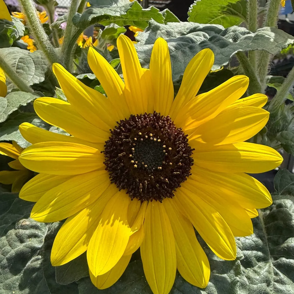 ws75.bsky.social's profile picture