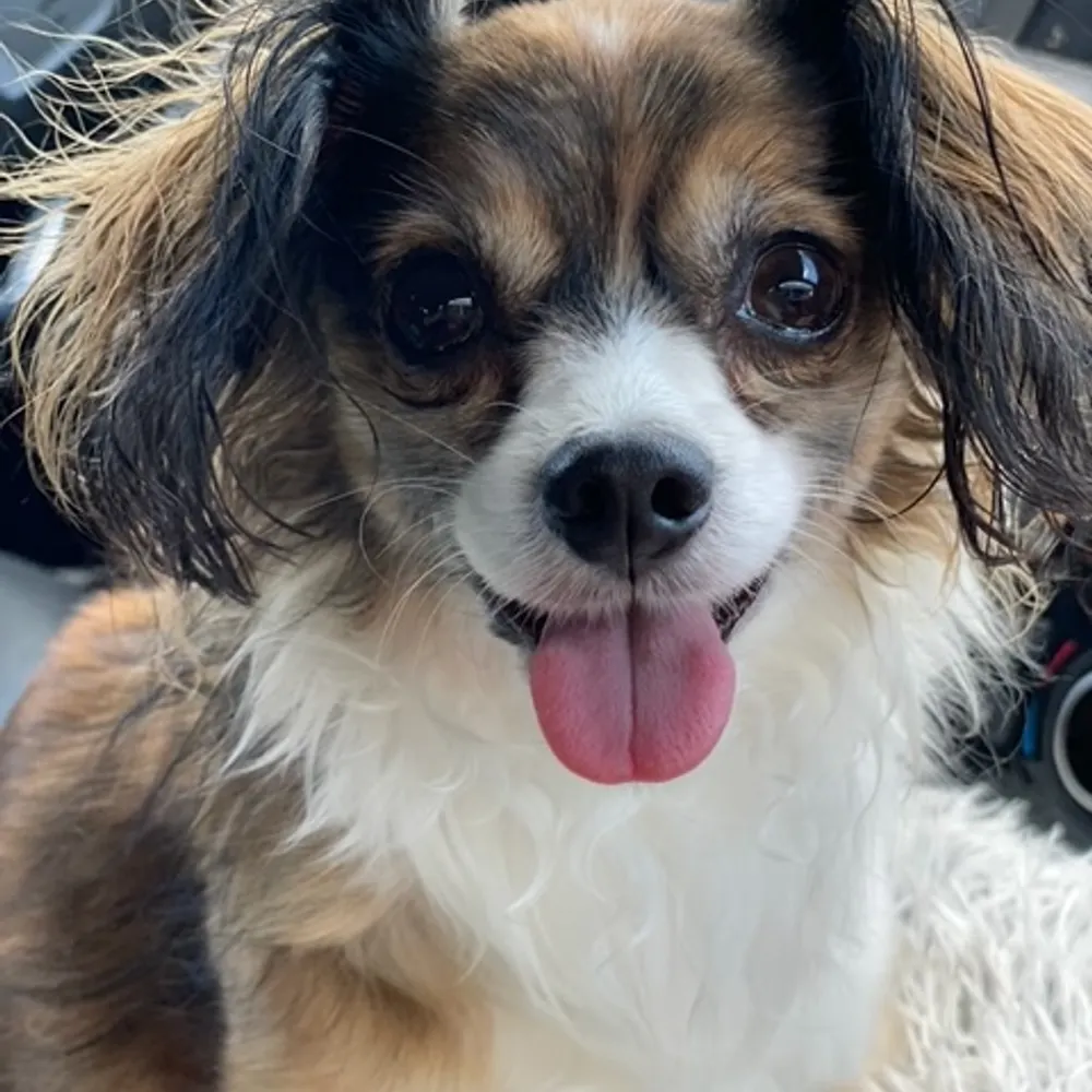 depechemodefan101.bsky.social's profile picture