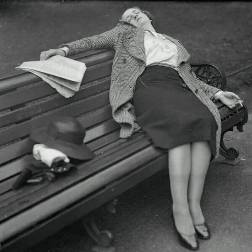 laughloudly.bsky.social's profile picture