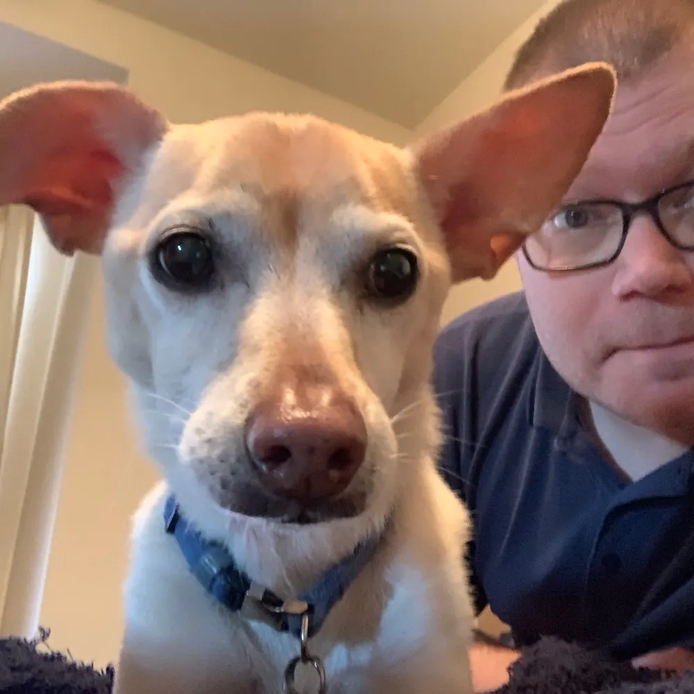 benhosp.bsky.social's profile picture