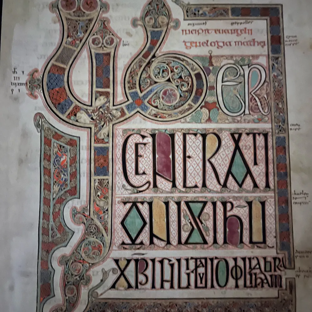 oneworld-onelife.bsky.social's profile picture