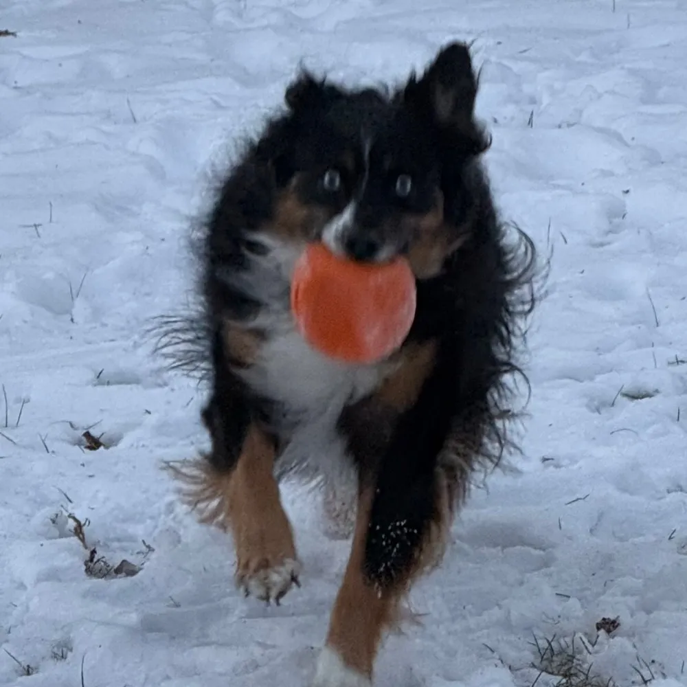 jmcphlcc.bsky.social's profile picture