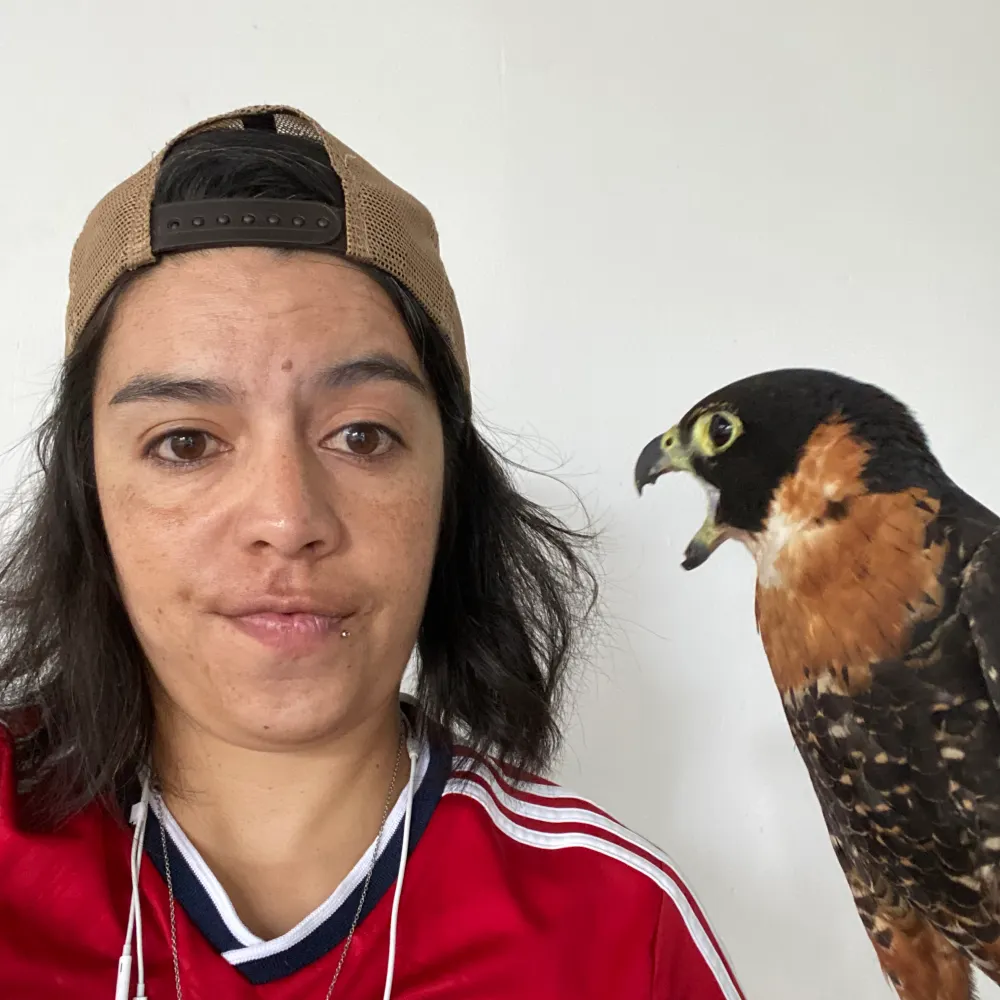 ammcanizares.bsky.social's profile picture