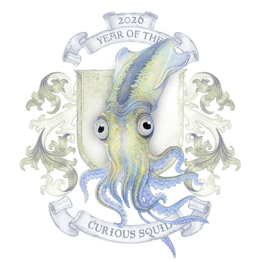 mrsarcanum.bsky.social's profile picture