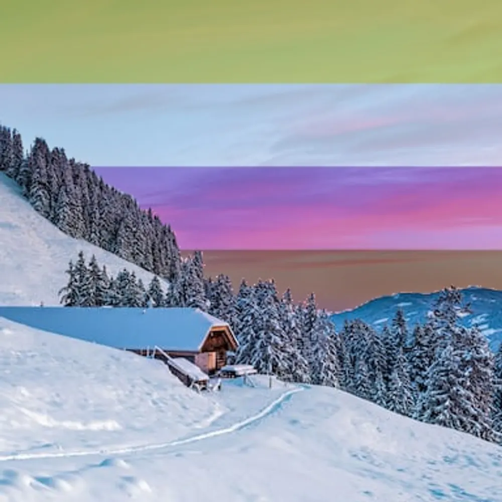 silveratractic.bsky.social's profile picture