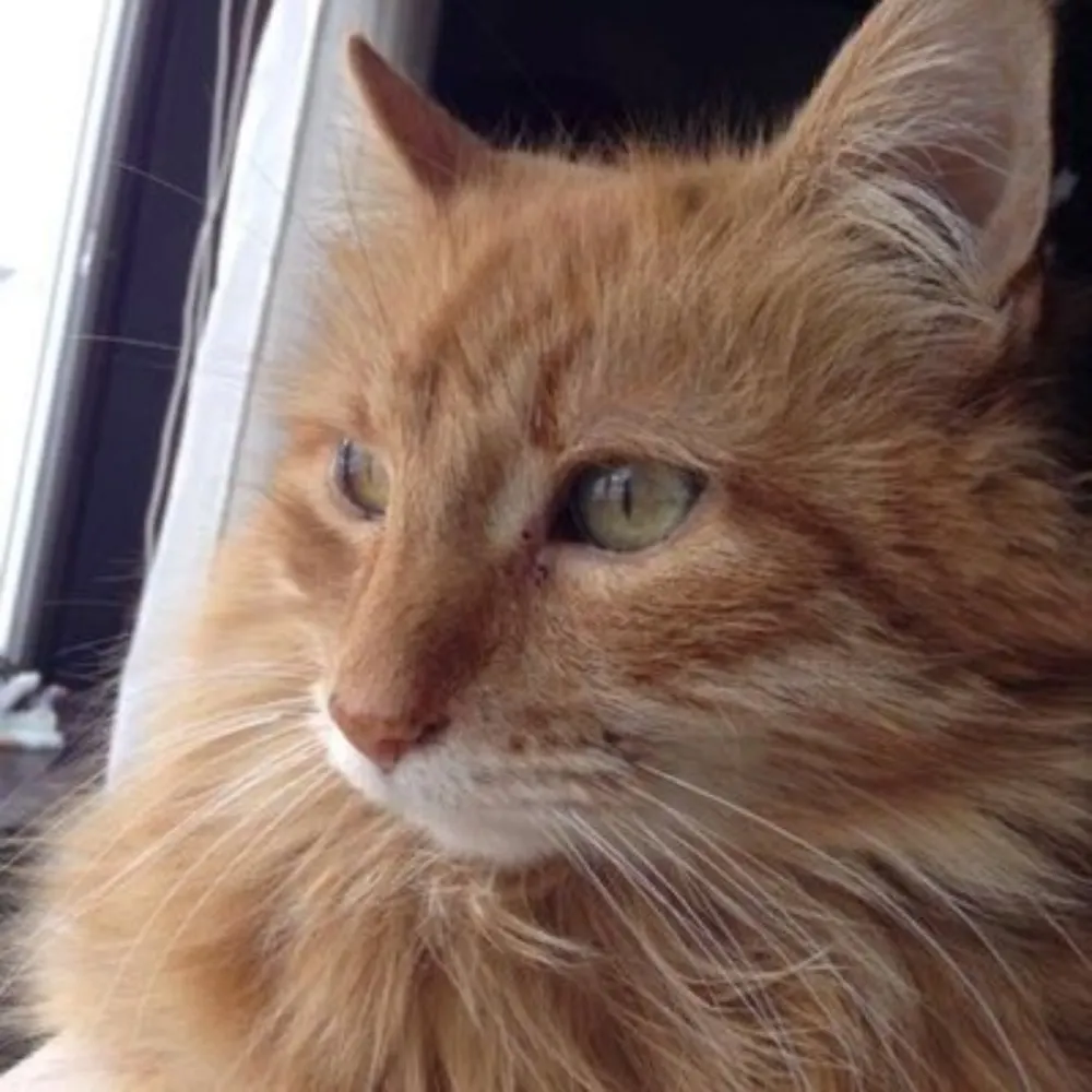 markshatraw.bsky.social's profile picture