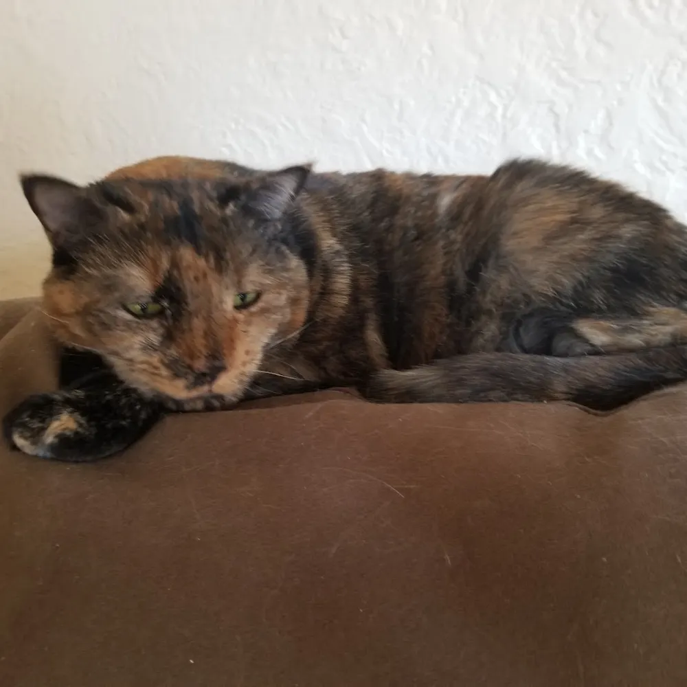 edub1961.bsky.social's profile picture