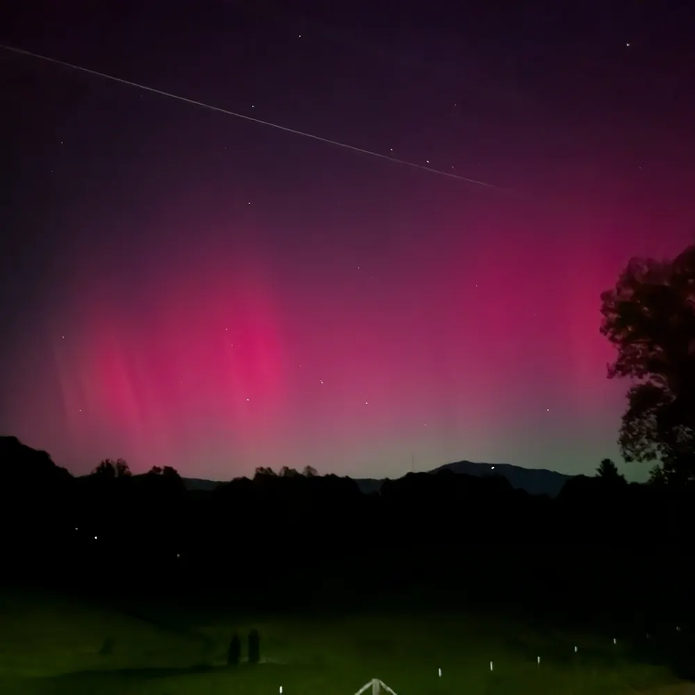 grumdholt.bsky.social's profile picture