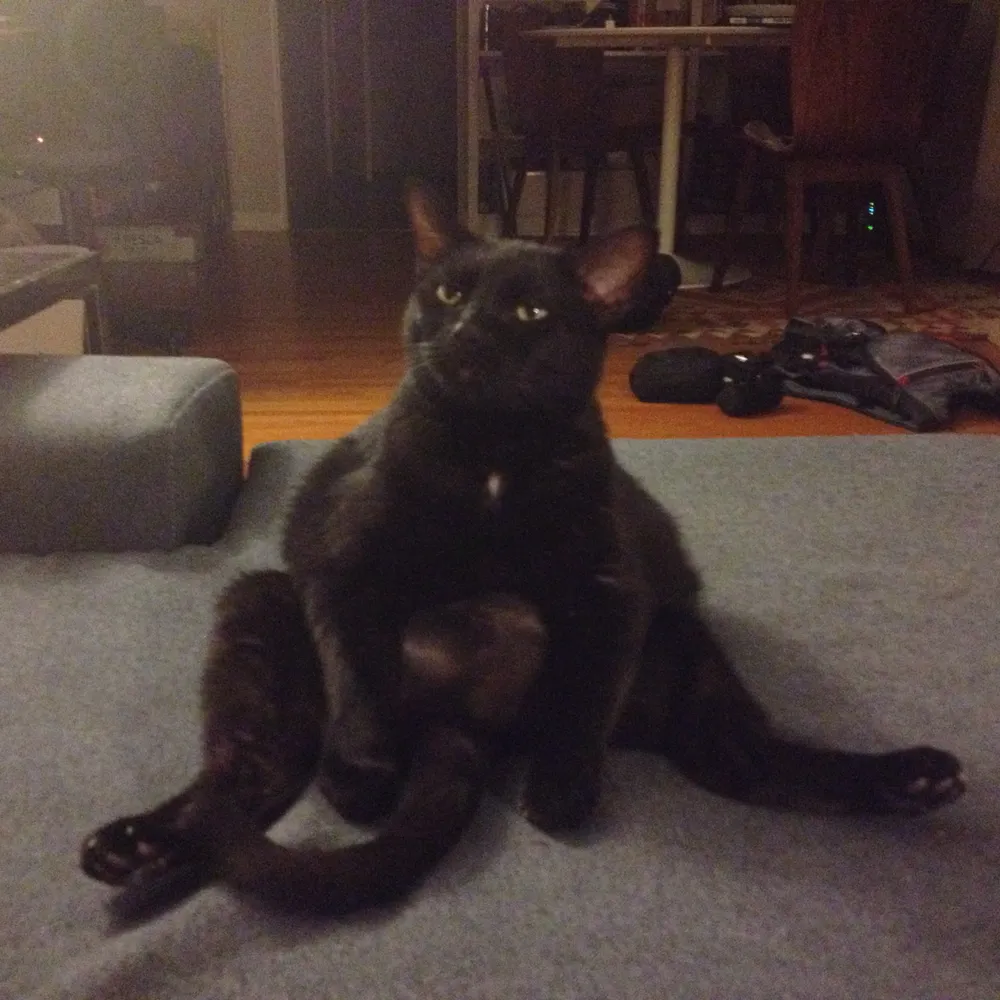 ankylodad.bsky.social's profile picture