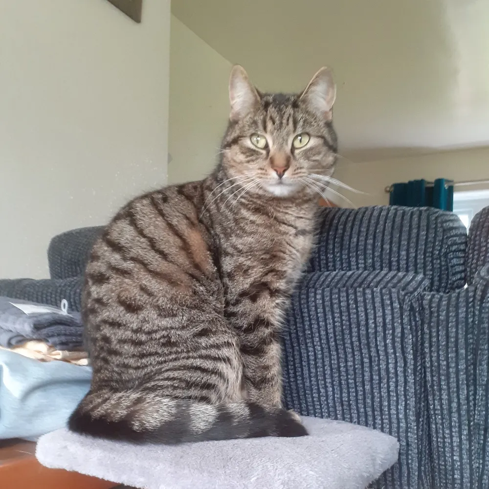 binaryhands.bsky.social's profile picture