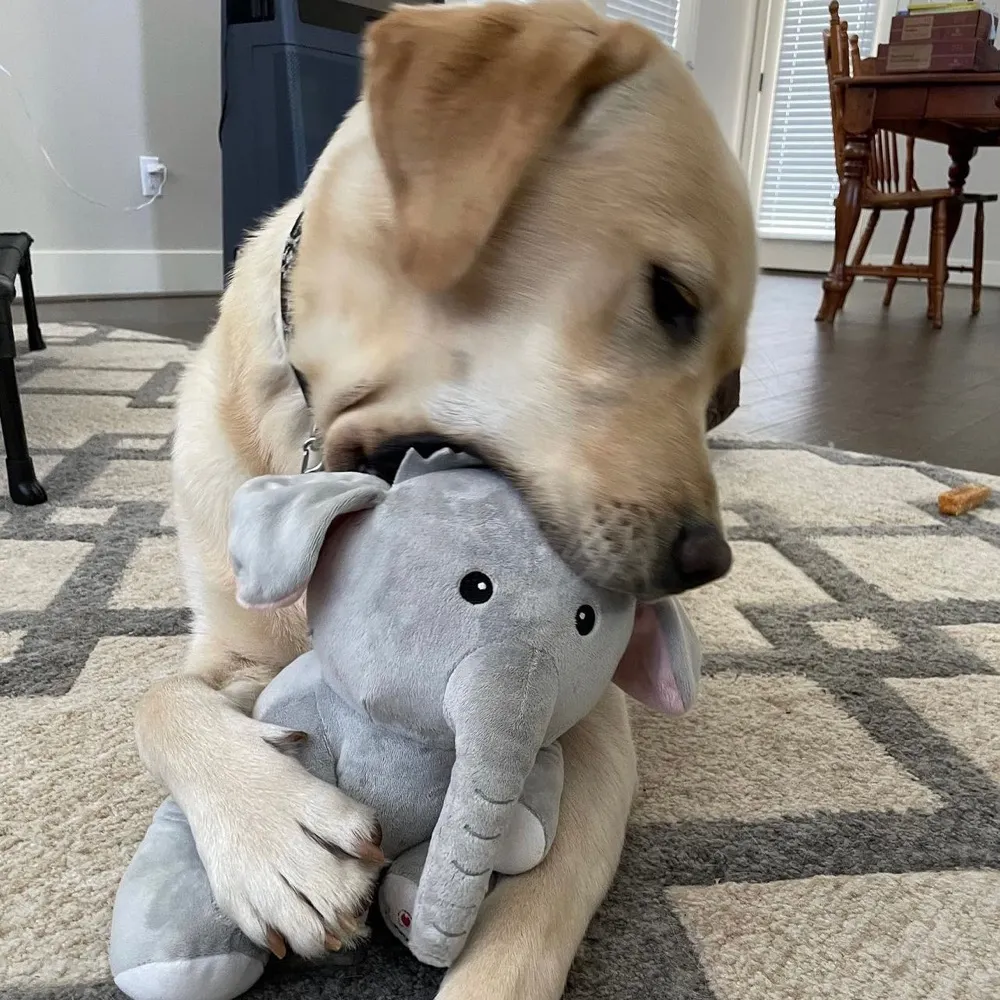 58george.bsky.social's profile picture