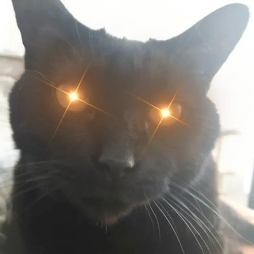 kramec.bsky.social's profile picture