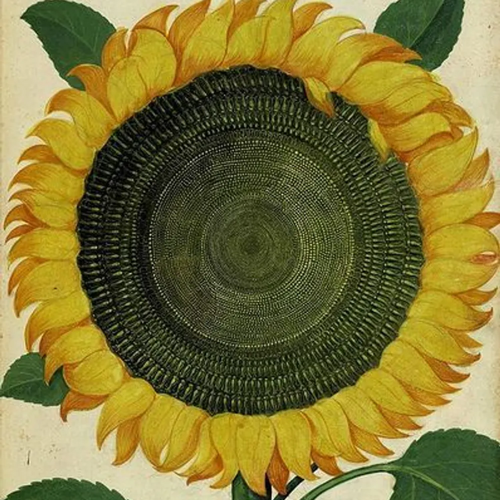 farketmemiz.bsky.social's profile picture