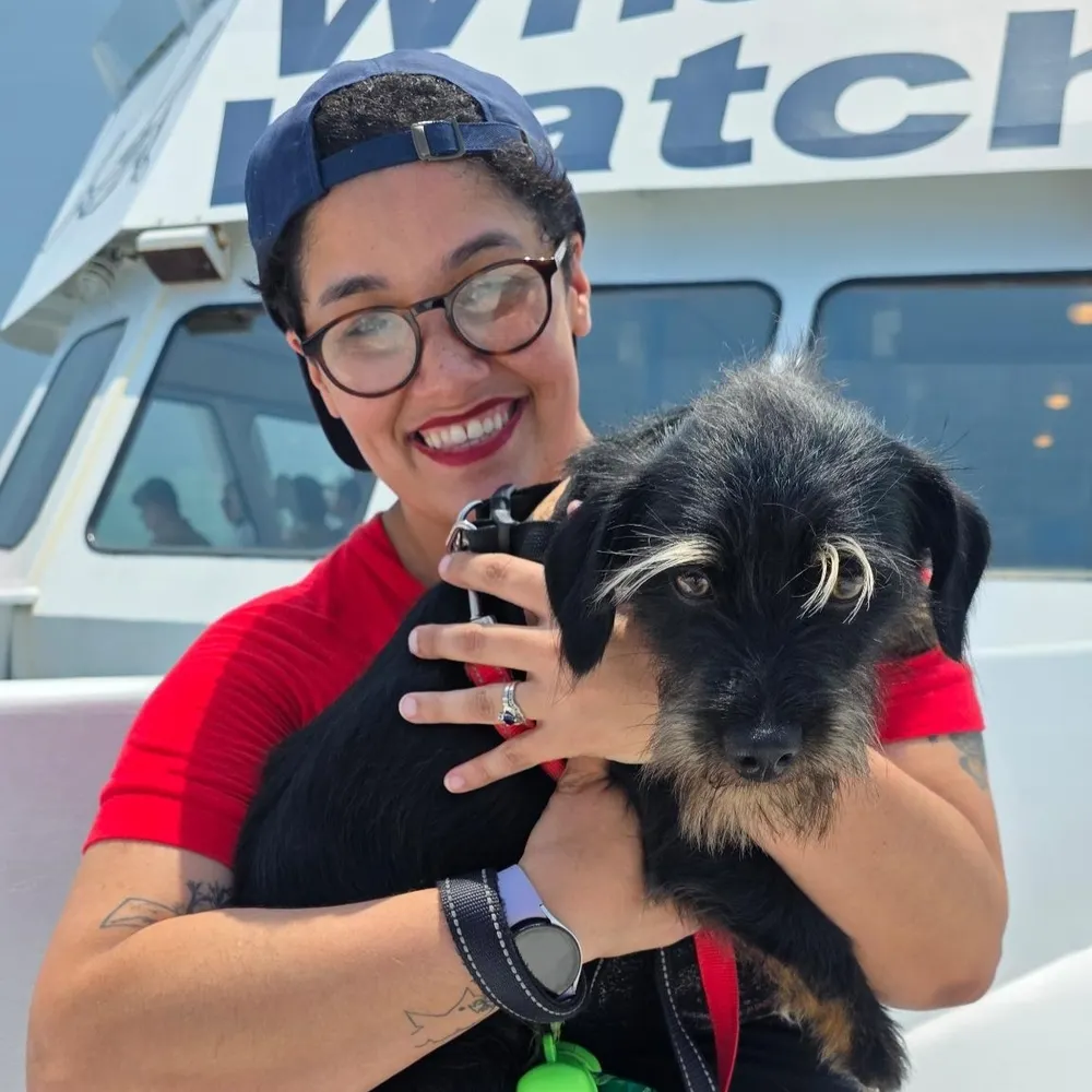 hereliescorri.bsky.social's profile picture