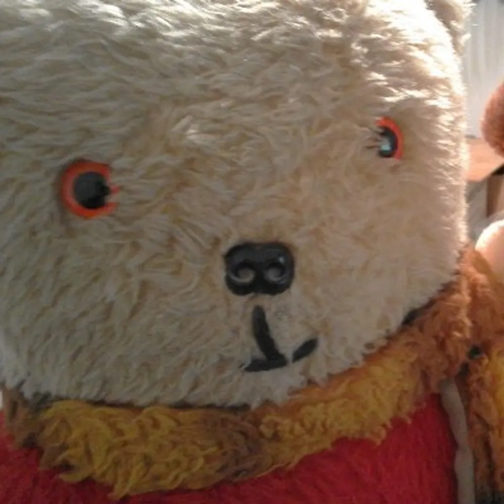 rupert-t-bear.bsky.social's profile picture