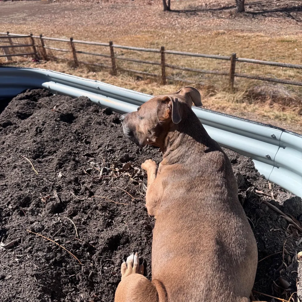 alans9.bsky.social's profile picture