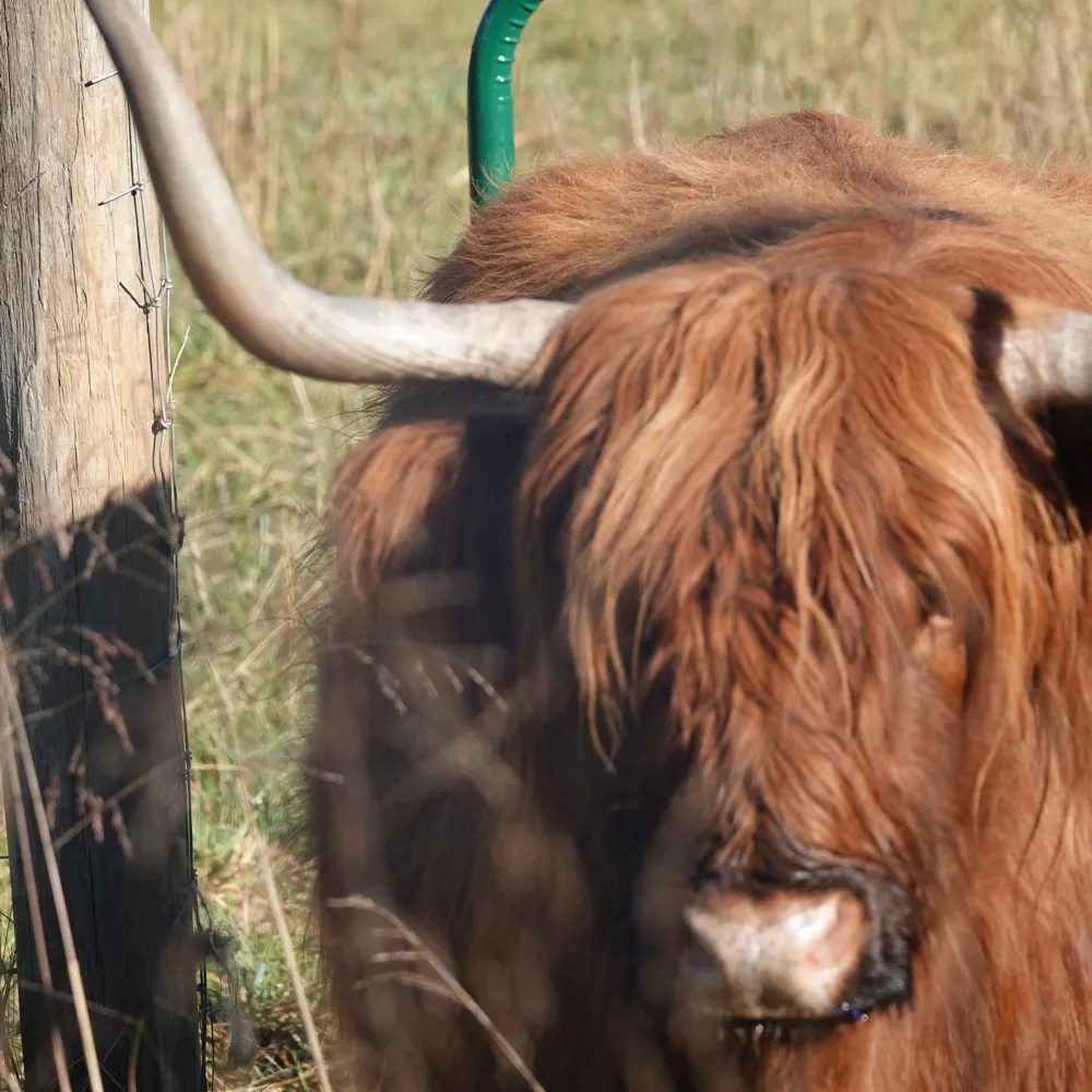 doughed.bsky.social's profile picture