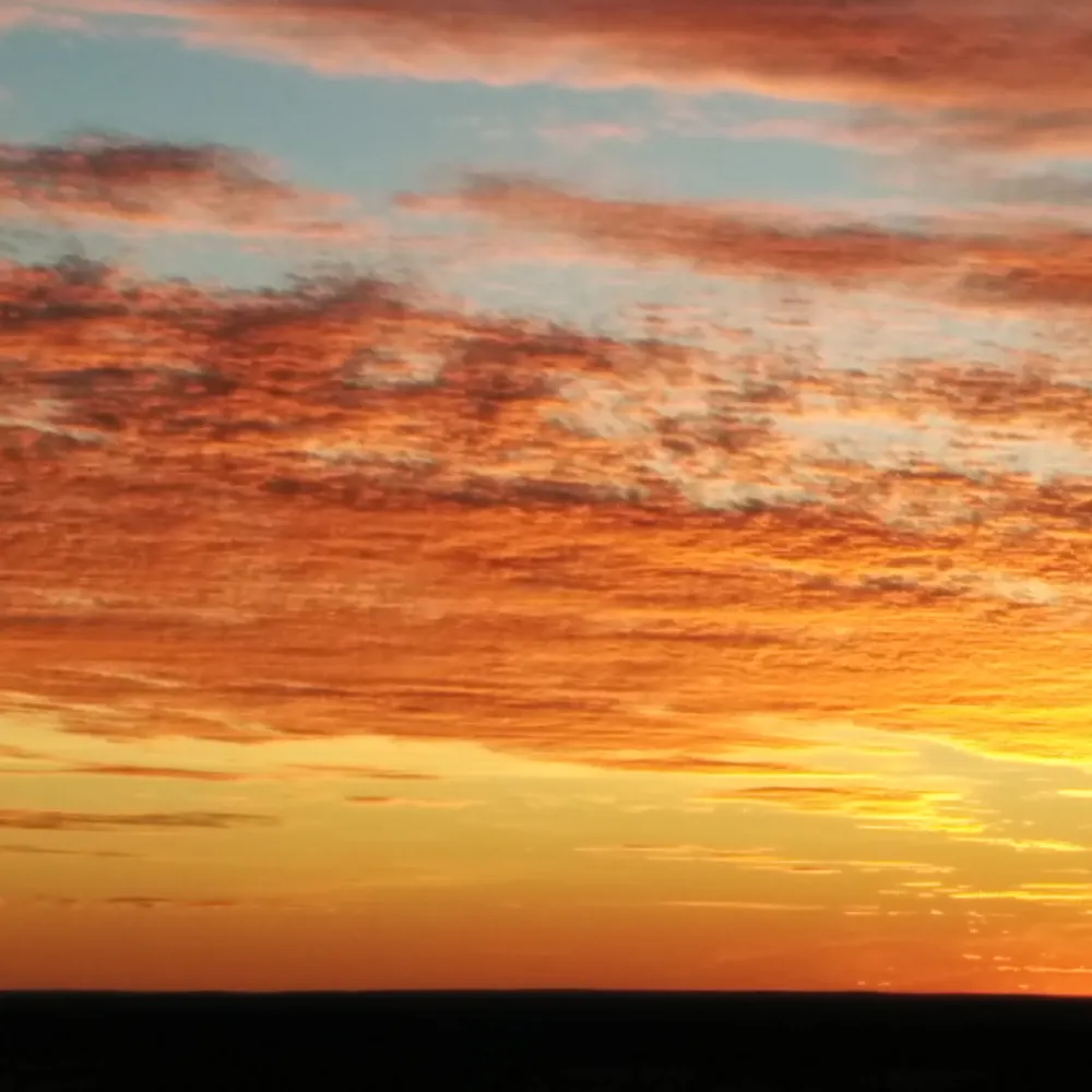 elanoradreamer.bsky.social's profile picture