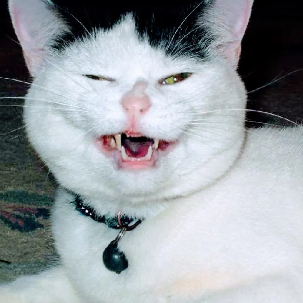 juneussell.bsky.social's profile picture