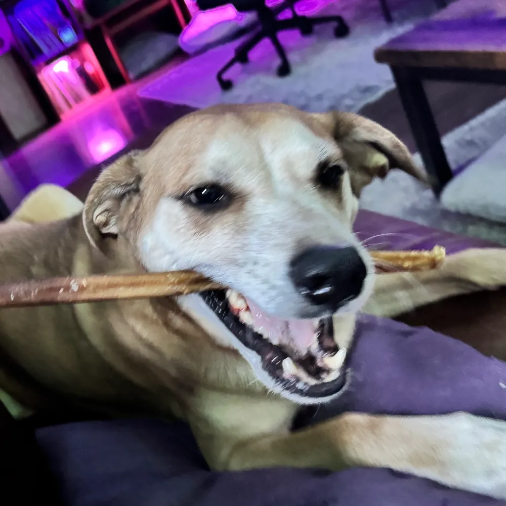 yvrgif.bsky.social's profile picture