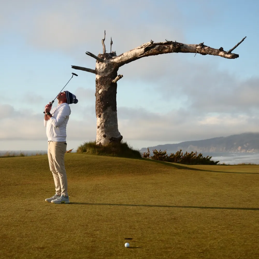 bfquinn.bsky.social's profile picture