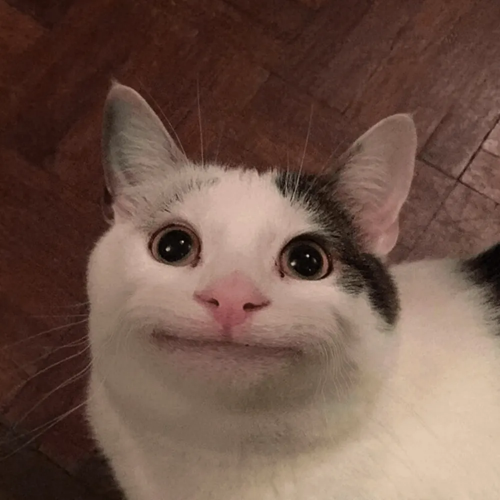 larsgizmo.bsky.social's profile picture