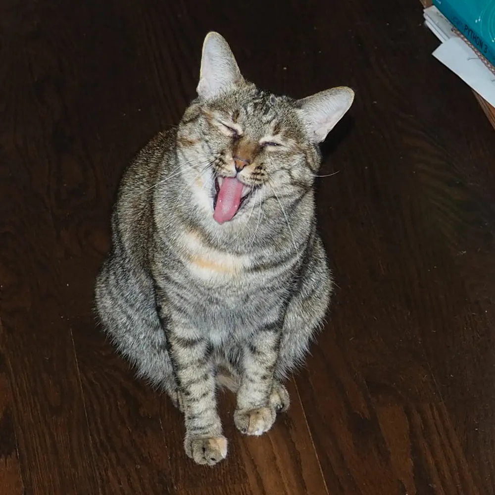 sp2guzzi.bsky.social's profile picture