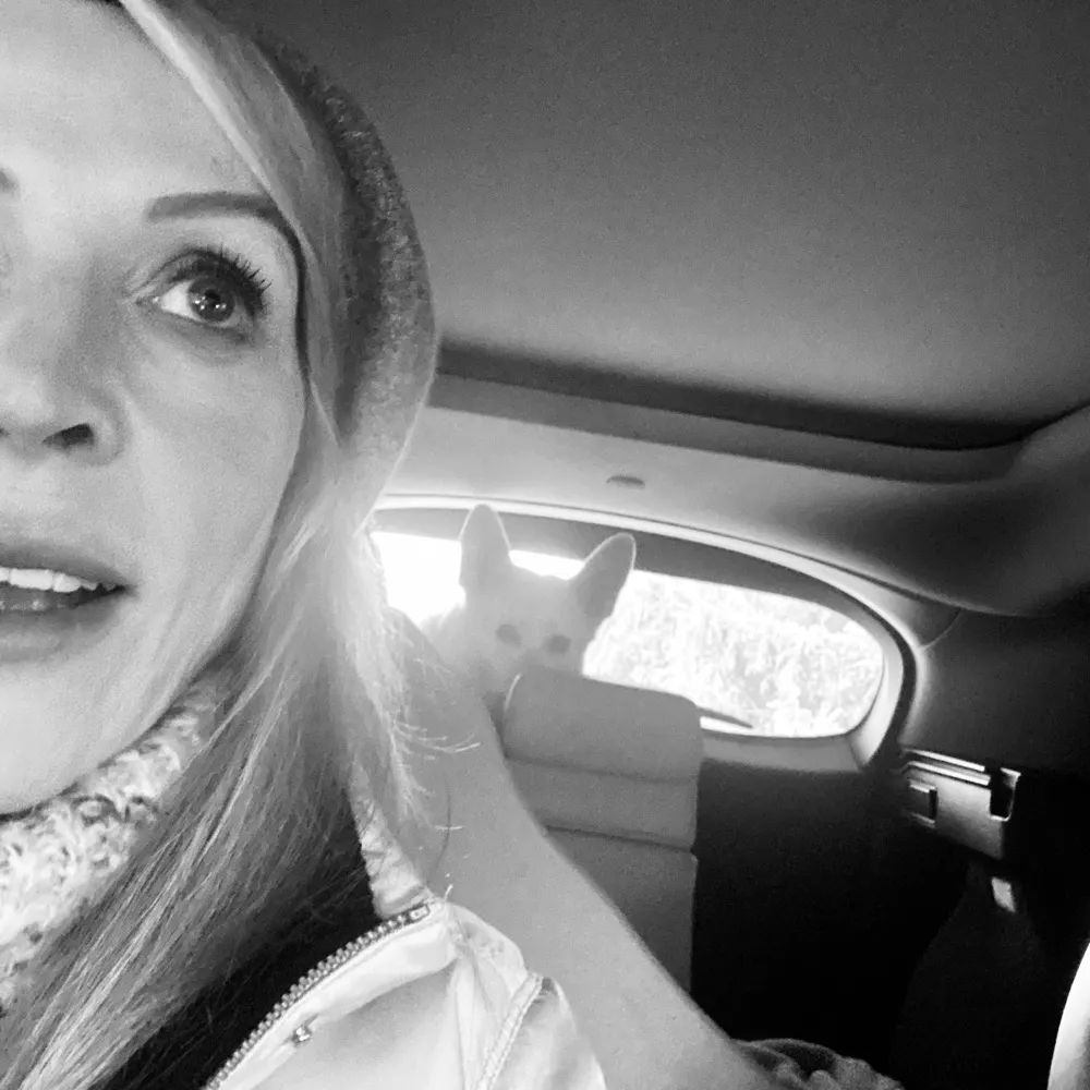 thistlesc.bsky.social's profile picture