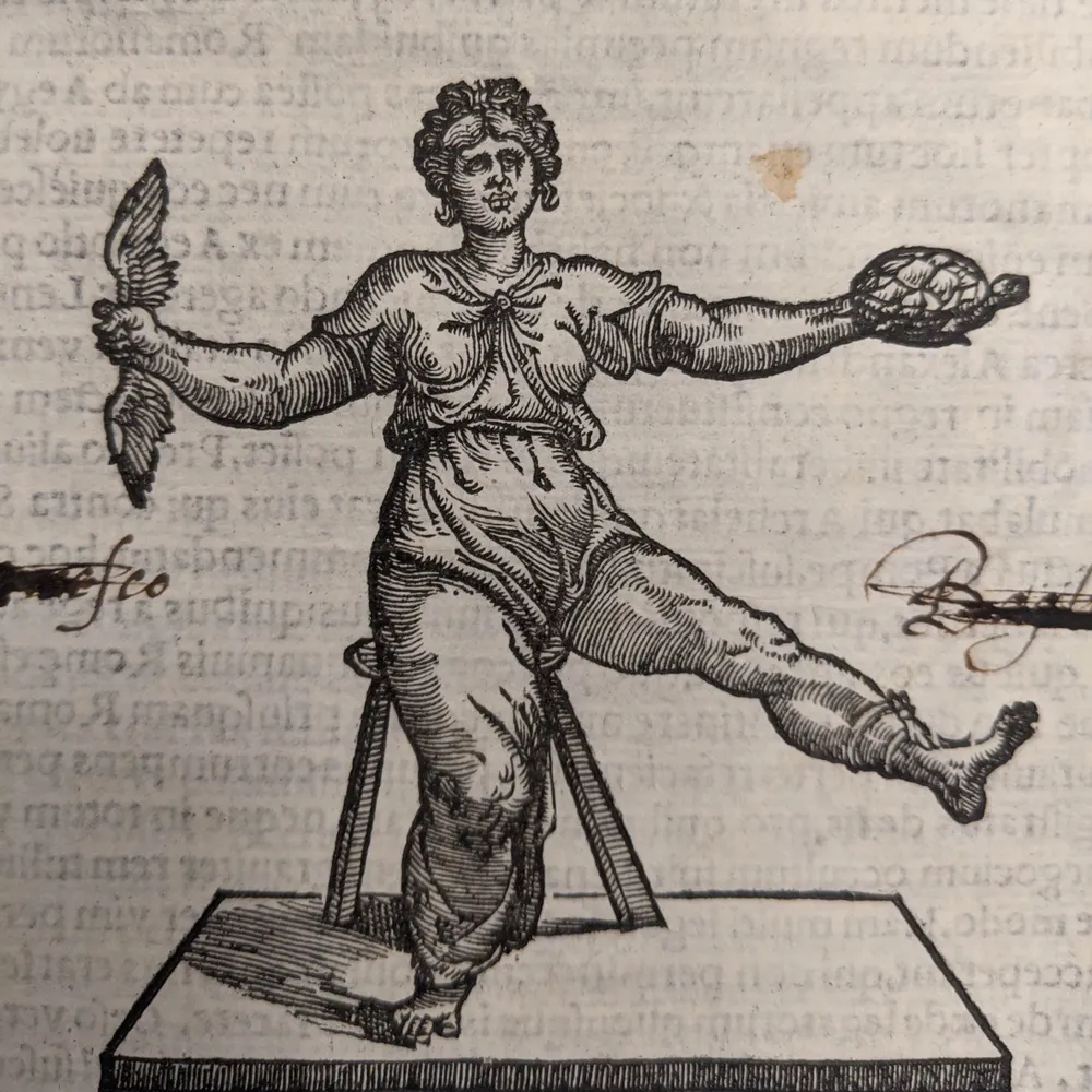 qhardy.bsky.social's profile picture