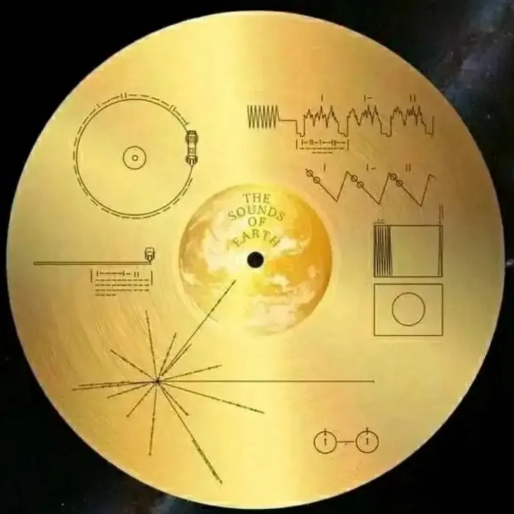 dystopos.bsky.social's profile picture