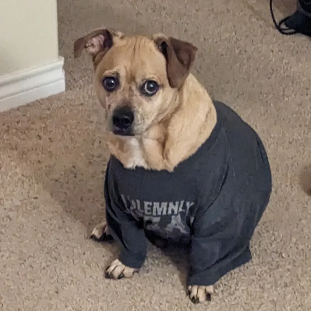 toxictrips19.bsky.social's profile picture