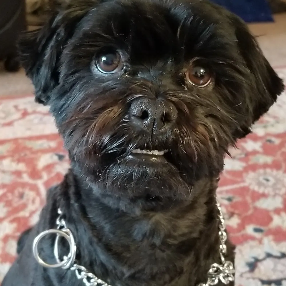 lindafly.bsky.social's profile picture