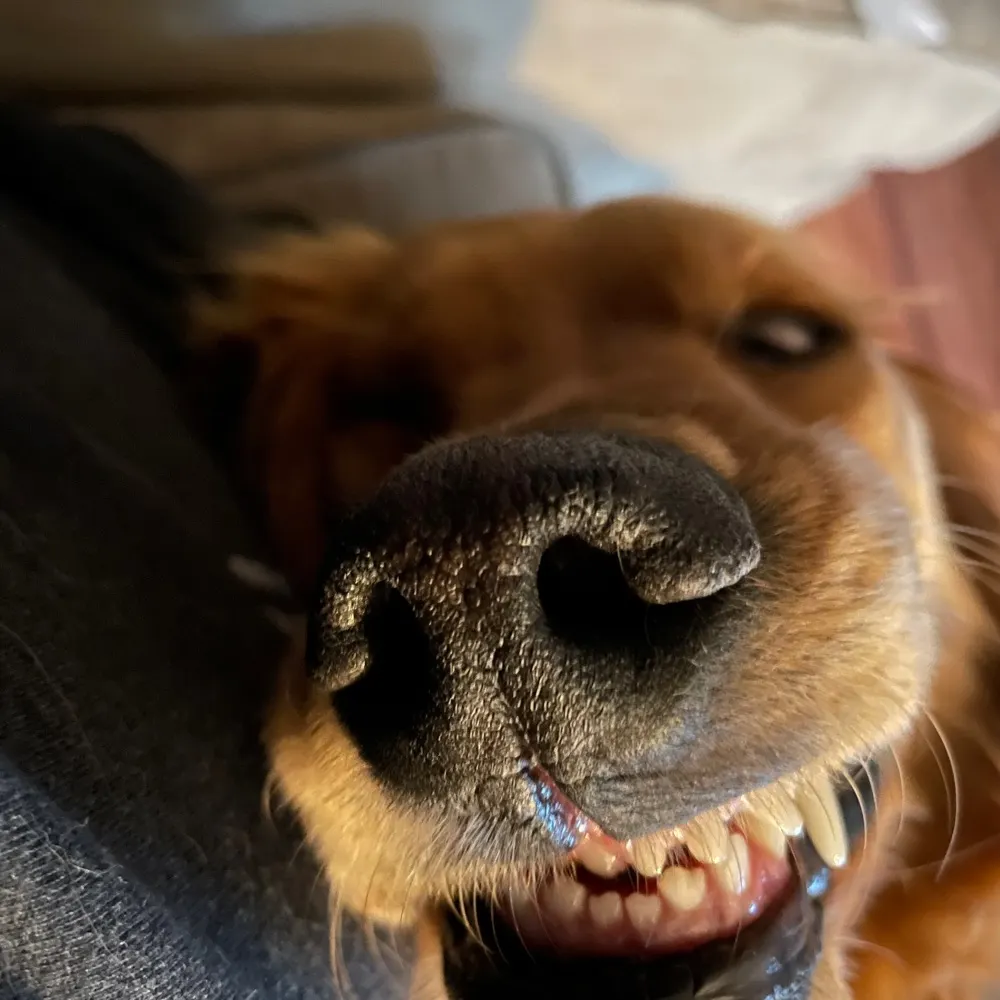 discoperm.bsky.social's profile picture