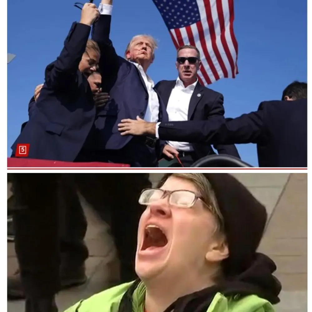 cryharderlibs.bsky.social's profile picture